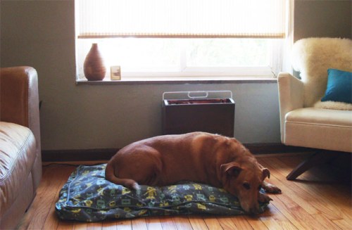 shenanigan on mr. roboto