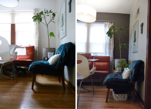 LR DOGS STORAGE BEFORE AND AFTER