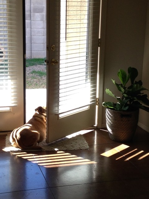 SHENANIGAN LOUNGES IN DOORWAY