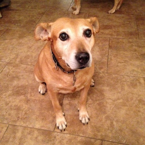 804DD477-9AD5-4106-9CF4-649119573A12_L0_001