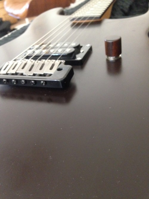 Rosewood volume knob